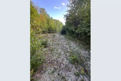 Lot 4 Unionville Road, Steuben, ME 04680 - Photo 3