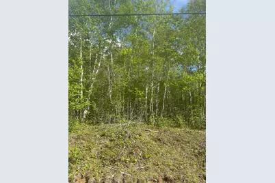 Lot 4 Unionville Road, Steuben, ME 04680 - Photo 3