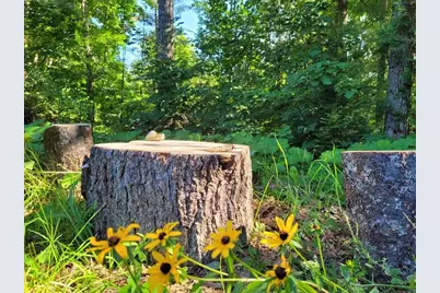 1773 Hudson Road, Hudson, ME 04449 - Photo 53