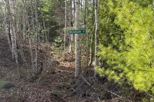 32-40 Road Nicatous Lake, T41 Md, ME 04417 - Photo 31