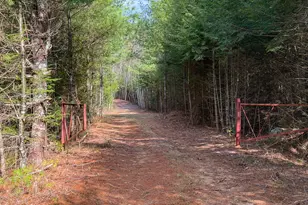 32-40 Road Nicatous Lake, T41 Md, ME 04417 - Photo 35