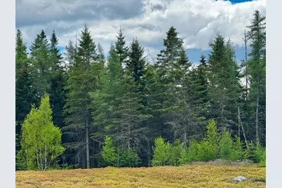 Lot 1 & 2B Elm Street, Machias, ME 04654 - Photo 7