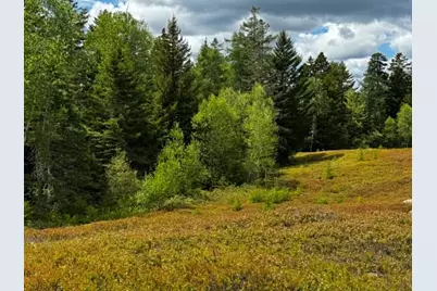 Lot 1 & 2B Elm Street, Machias, ME 04654 - Photo 5