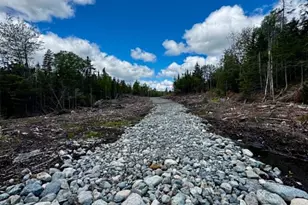 Lot 49 Port Rd, Machiasport, ME 04655 - Photo 1