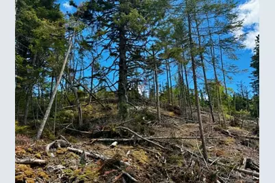 Lot 49 Port Road, Machiasport, ME 04655 - Photo 9