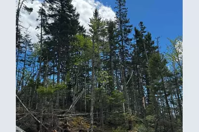 Lot 49 Port Road, Machiasport, ME 04655 - Photo 5