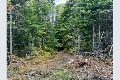Lot 49 Port Road, Machiasport, ME 04655 - Photo 13