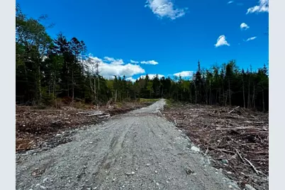 Lot 49 Port Road, Machiasport, ME 04655 - Photo 11
