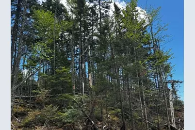 Lot 49 Port Road, Machiasport, ME 04655 - Photo 7