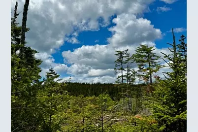 Lot 49 Port Road, Machiasport, ME 04655 - Photo 3