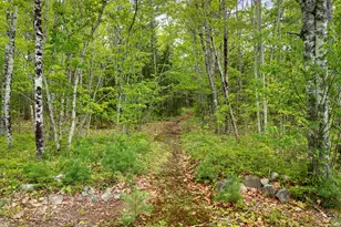 479 Niilo Hill Rd, Warren, ME 04864 - Photo 51
