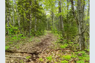 479 Niilo Hill Road, Warren, ME 04864 - Photo 53
