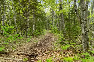 479 Niilo Hill Rd, Warren, ME 04864 - Photo 53