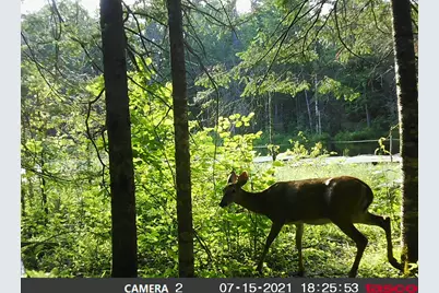 Lot 5 Stream Road, Vienna, ME 04360 - Photo 19