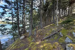 170 Harbor Rd, Swans Island, ME 04685 - Photo 83