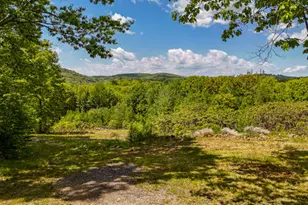 48 Piper Ln, Parsonsfield, ME 04047 - Photo 3