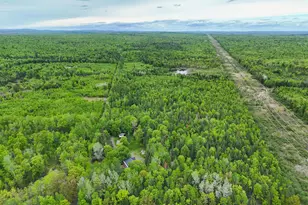 385 Johnson Flt Rd, Pittsfield, ME 04967 - Photo 53