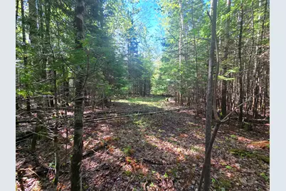 # Private Rd Off Merriman Road, Island Falls, ME 04747 - Photo 7