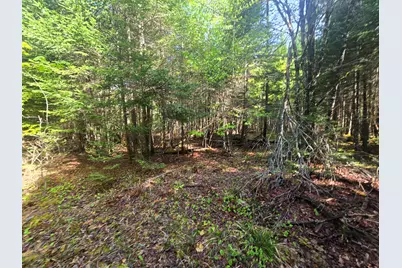 # Private Rd Off Merriman Road, Island Falls, ME 04747 - Photo 13