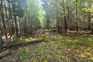# Private Rd Off Merriman Rd, Island Falls, ME 04747 - Photo 1