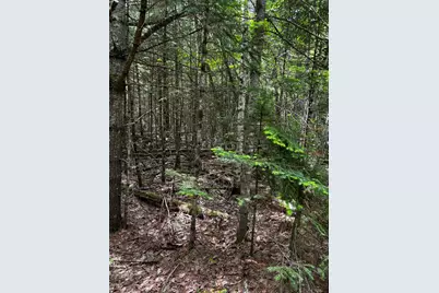 Lot 9-3 Lilly Drive, Newport, ME 04953 - Photo 3