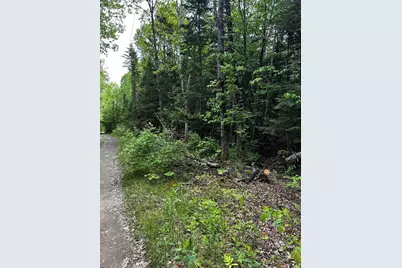 Lot 9-4 Lilly Drive, Newport, ME 04953 - Photo 5