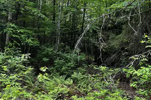Lot 9-4 Lilly Dr, Newport, ME 04953 - Photo 1