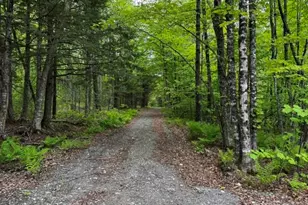 0 Patterson Bridge Rd, Madison, ME 04950 - Photo 1