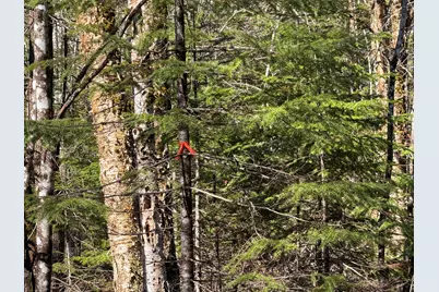 [Address not provided], Sangerville, ME 04479 - Photo 7