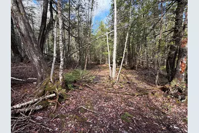[Address not provided], Sangerville, ME 04479 - Photo 17