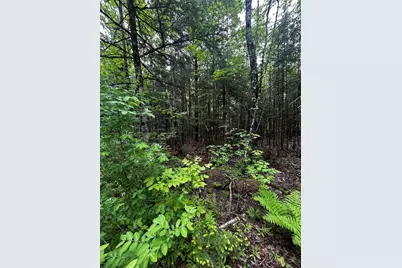 Lot 9-2 Lilly Drive, Newport, ME 04953 - Photo 3