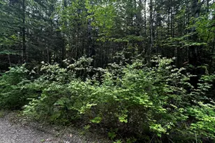 Lot 9-2 Lilly Dr, Newport, ME 04953 - Photo 1