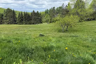 30 Moosehead Trail, Dixmont, ME 04932 - Photo 9