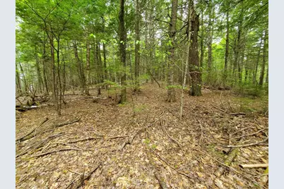 Lot 7 Heath Road, Mariaville, ME 04605 - Photo 15
