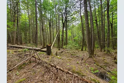 Lot 7 Heath Road, Mariaville, ME 04605 - Photo 17
