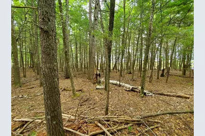 Lot 7 Heath Road, Mariaville, ME 04605 - Photo 11