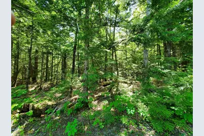 Lot 7 Heath Road, Mariaville, ME 04605 - Photo 25