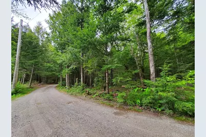 Lot 7 Heath Road, Mariaville, ME 04605 - Photo 5