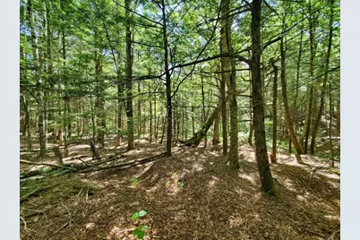 Lot 7 Heath Road, Mariaville, ME 04605 - Photo 27