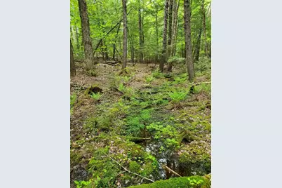 Lot 7 Heath Road, Mariaville, ME 04605 - Photo 19