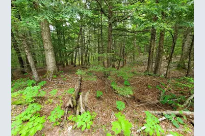 Lot 7 Heath Road, Mariaville, ME 04605 - Photo 21