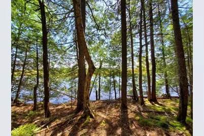 Lot 7 Heath Road, Mariaville, ME 04605 - Photo 31
