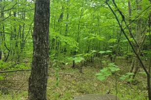 233 Weld Rd, Phillips, ME 04966 - Photo 31