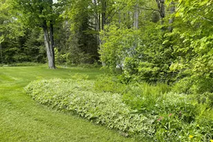 53 Bog Rd, Limestone, ME 04750 - Photo 7