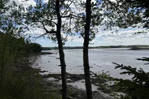 411 Cutler Rd, Machiasport, ME 04655 - Photo 67