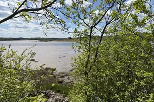 411 Cutler Rd, Machiasport, ME 04655 - Photo 61