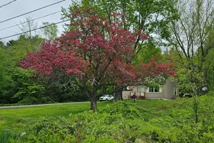 58 Allen St, Wilton, ME 04294 - Photo 49