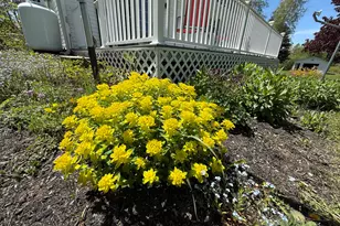 215 S Oakfield Rd, Linneus, ME 04730 - Photo 5