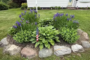 215 S Oakfield Rd, Linneus, ME 04730 - Photo 47