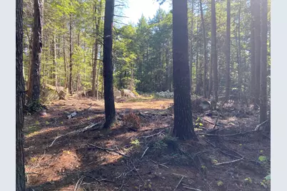 M06-Lot18B Sys Road, Lakeville, ME 04487 - Photo 7
